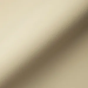 Bermuda Plain Beige1